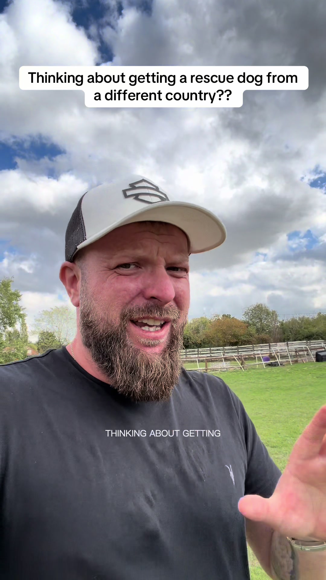 @SouthendDogTraining