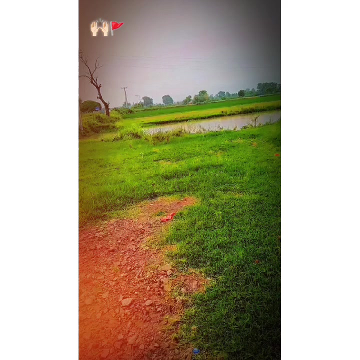 @tayab