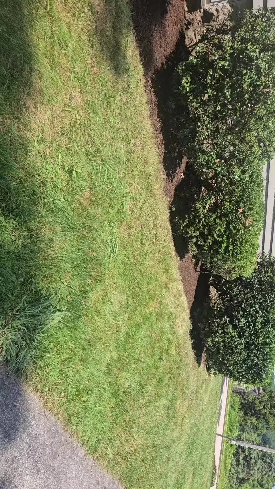 @mi ñañito