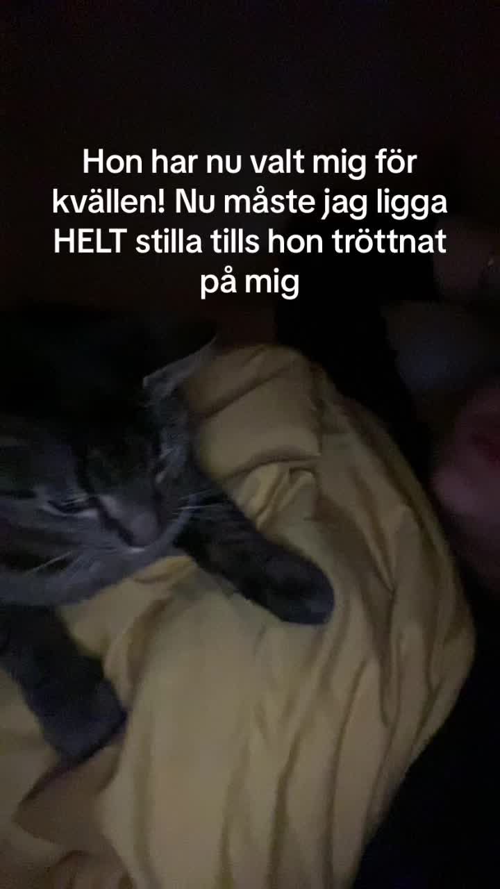 @leiaslekland