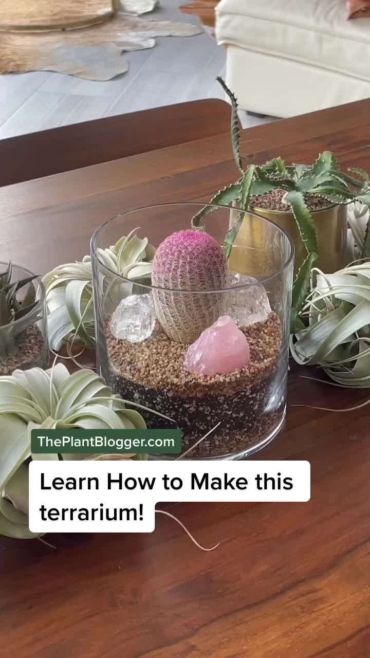 @The_Plant_Blogger