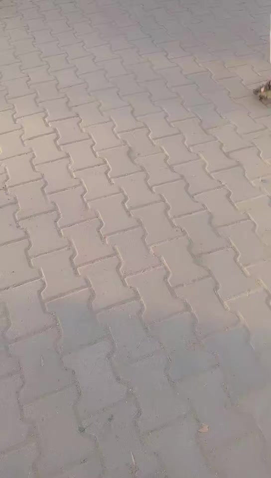 @imrannuol29