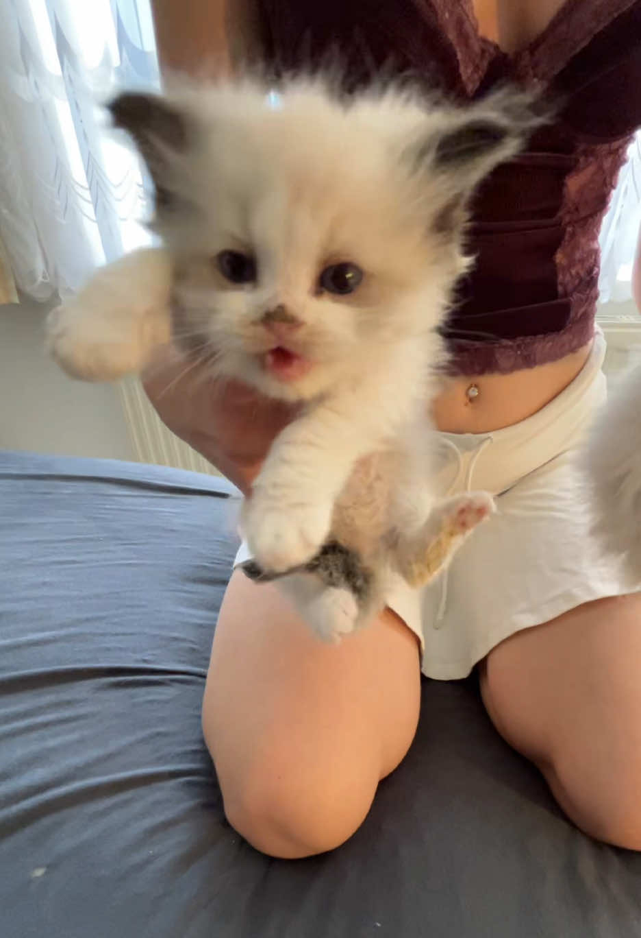 @Cute Ragdolls