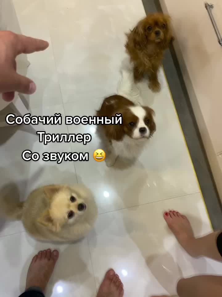 @user54526531412