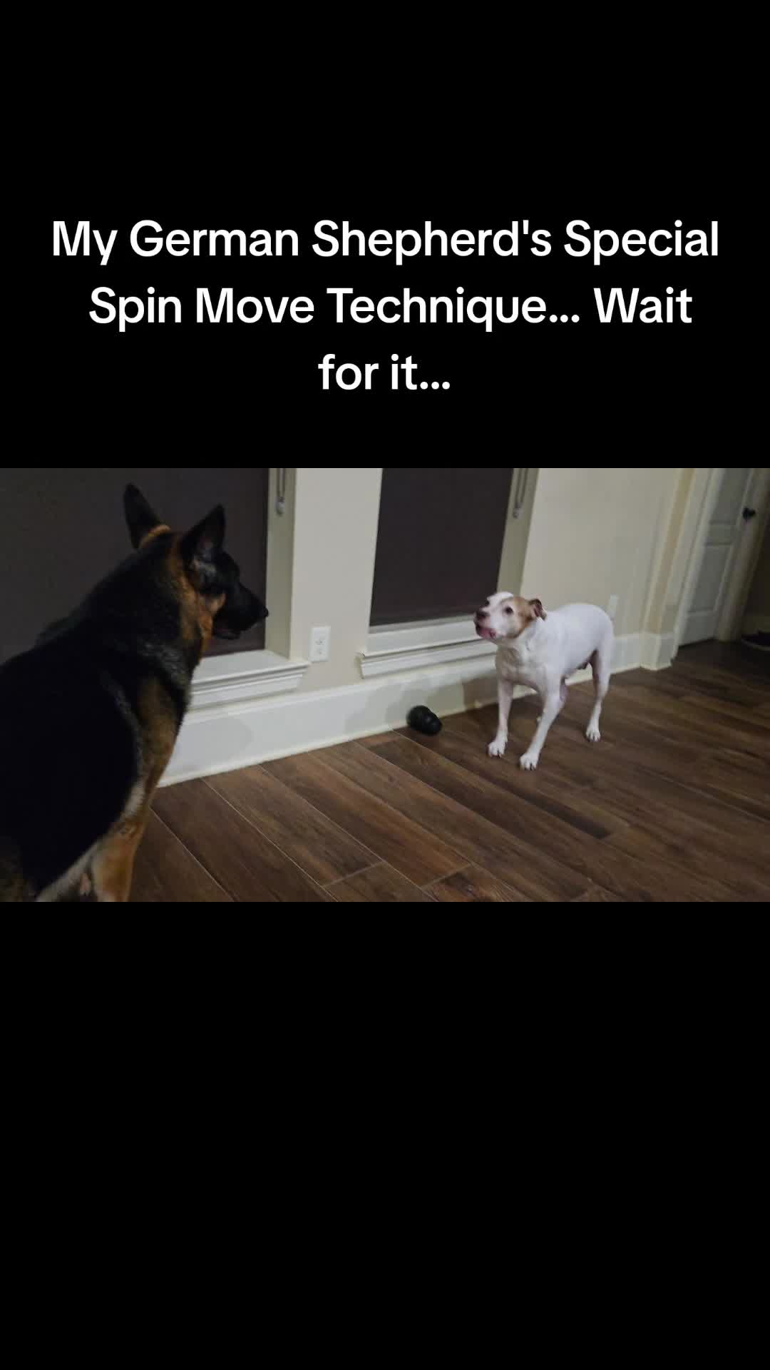 @Chevyspeed
