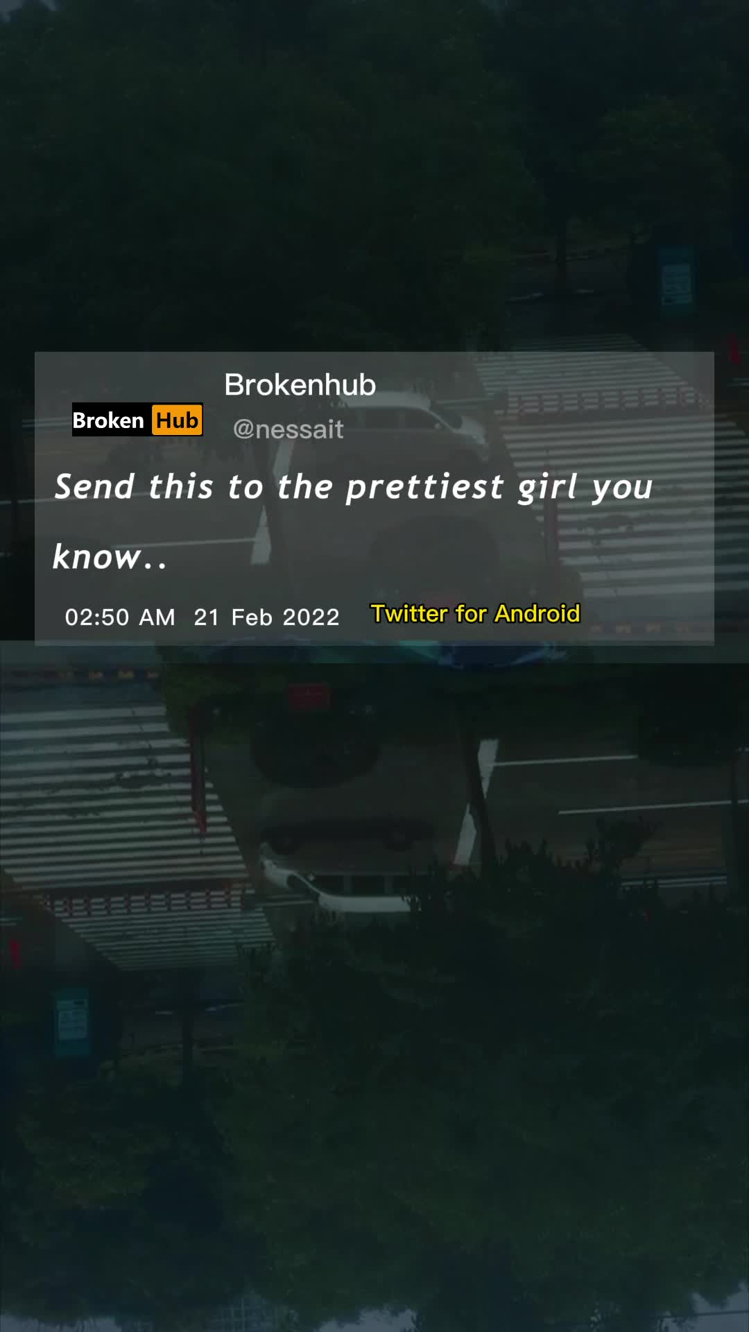 @user4213903641442