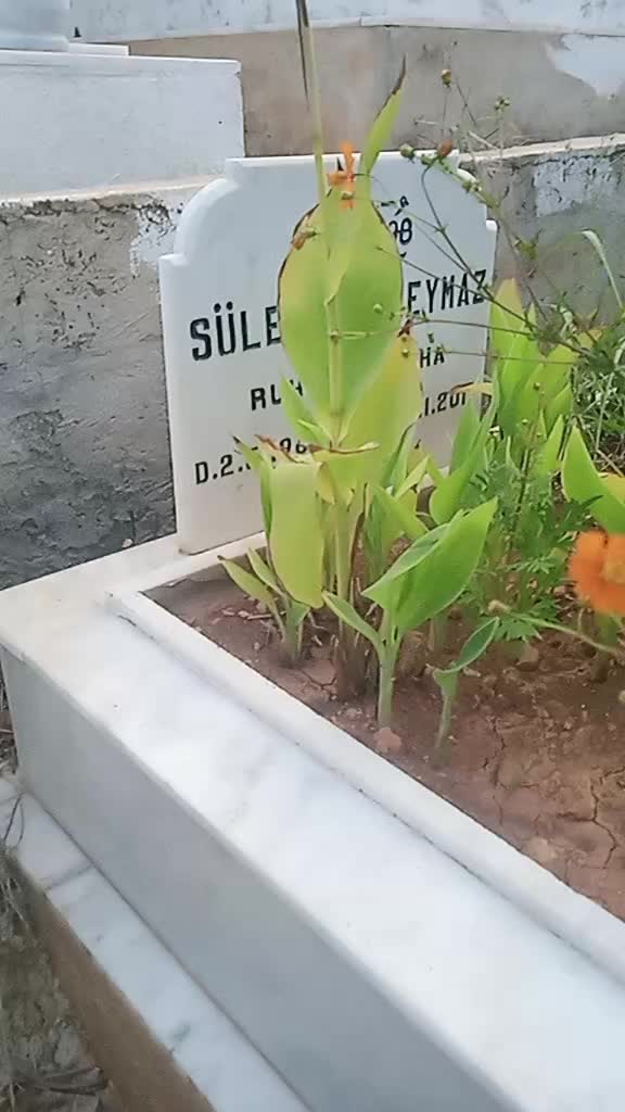 @yakup efe ata