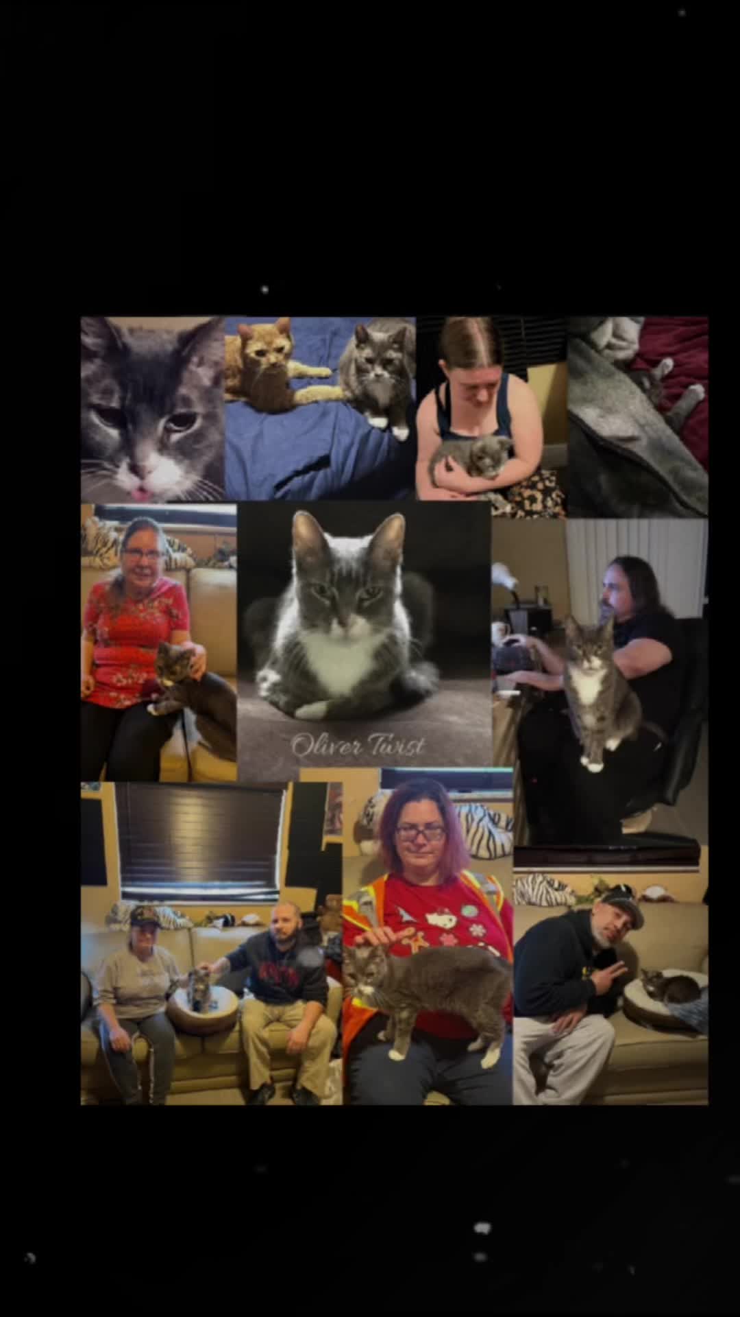 @roxyredcat