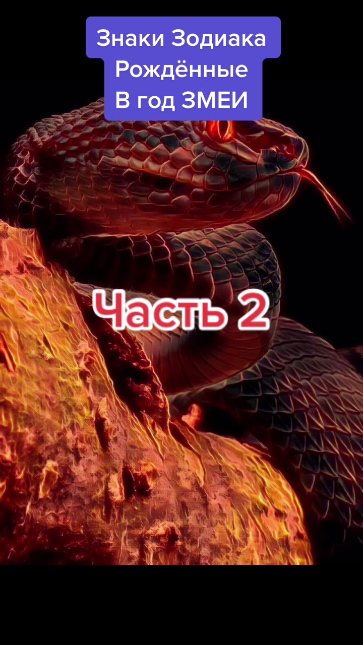 @Звёзды говорят