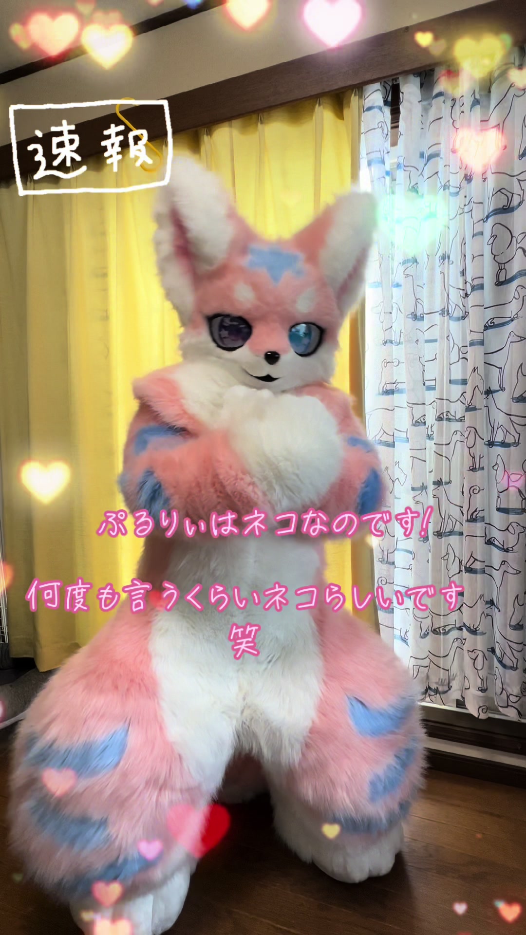 @はてなむじな。