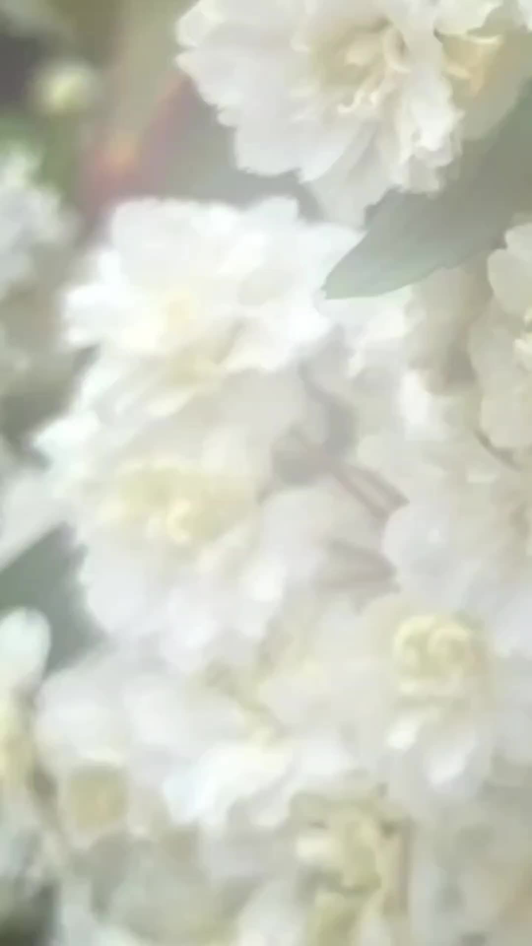 @ro.zrodesignstudio
