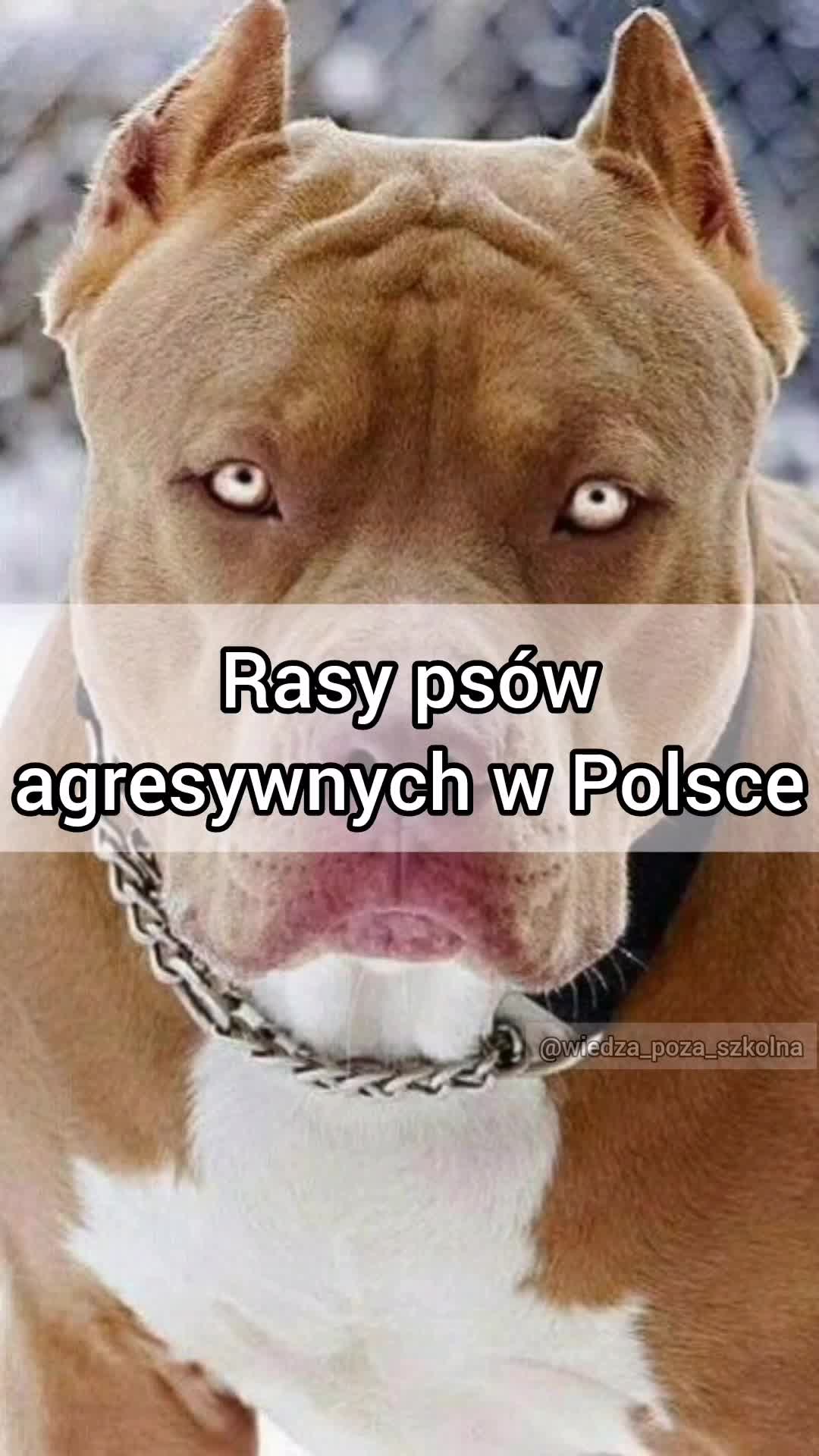 @Wiedza_poza_szkolna