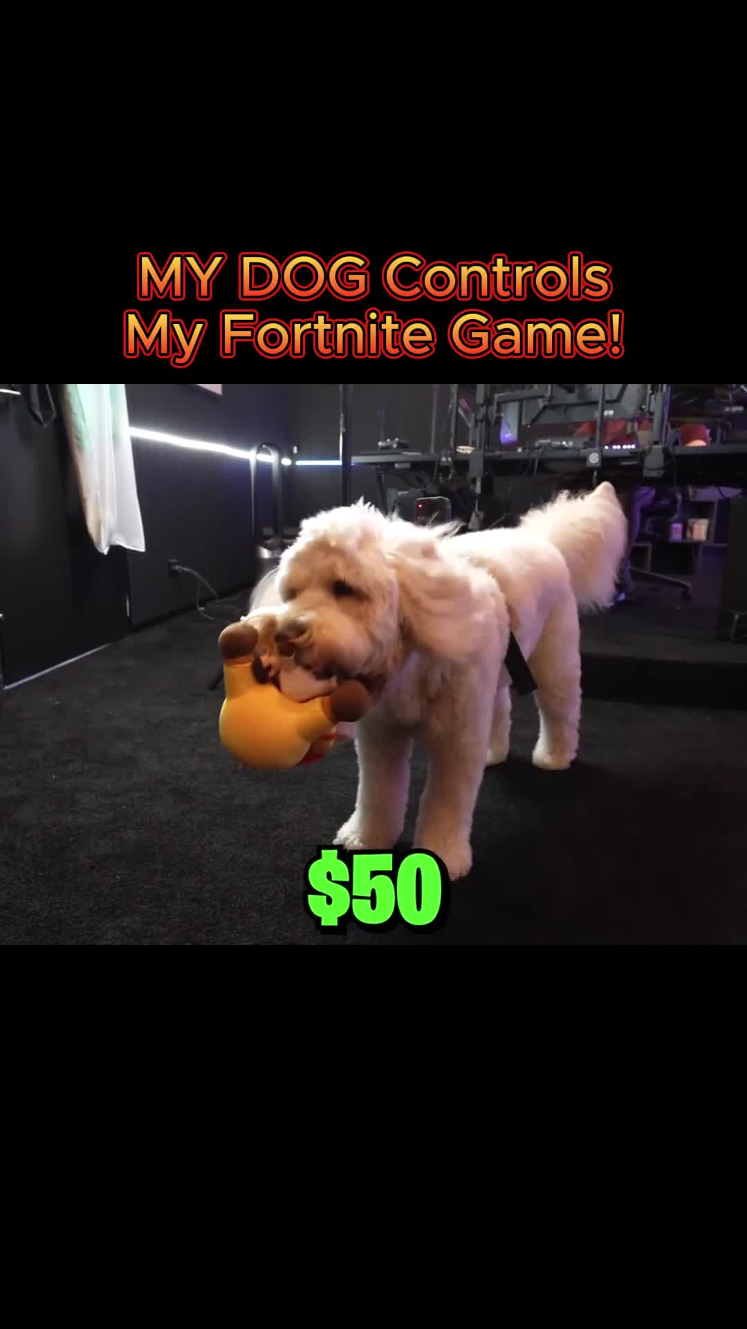 @Lachlan