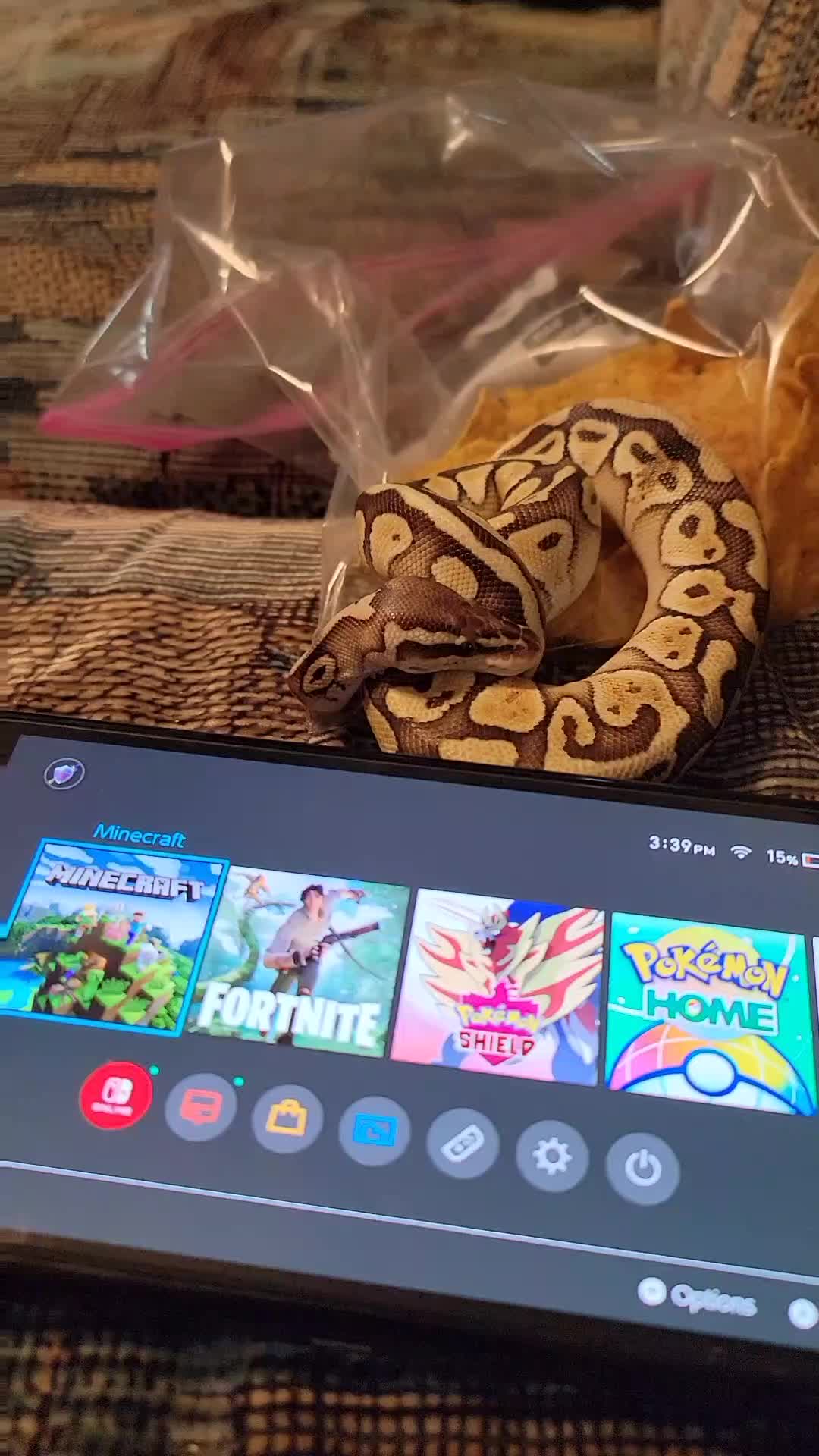 @mudcowpythons