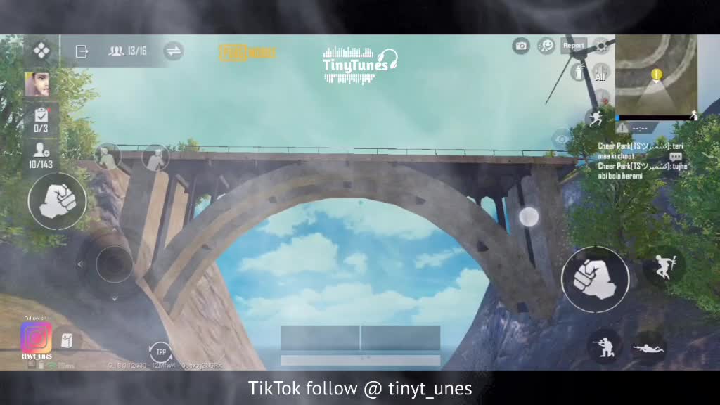 @TinyTunes