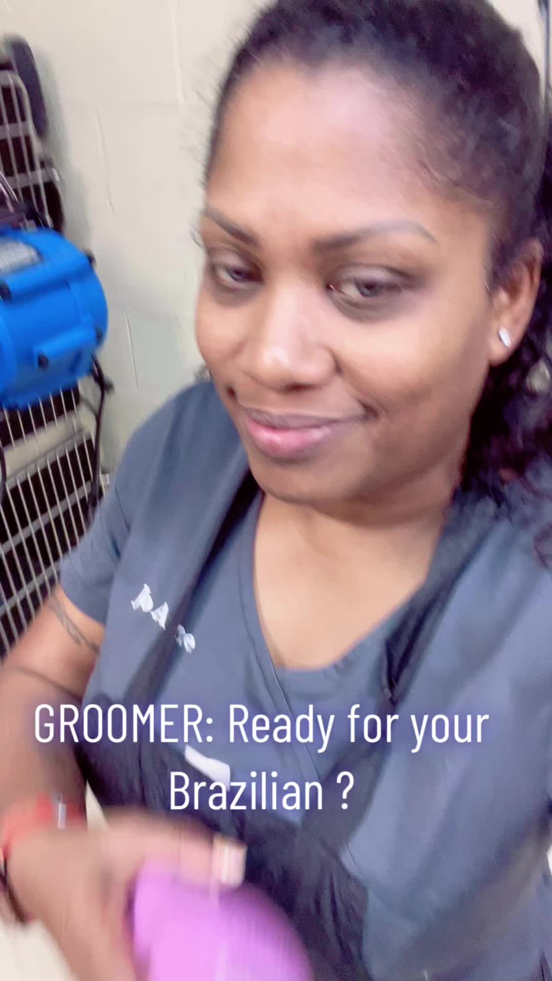 @thegroomingfairy