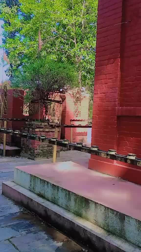 @TiGer