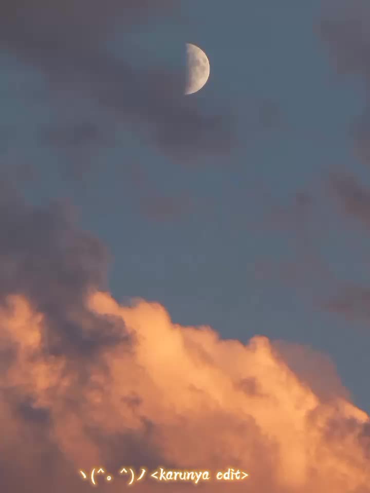 @k&ordf;runya 🦋✨️💖
