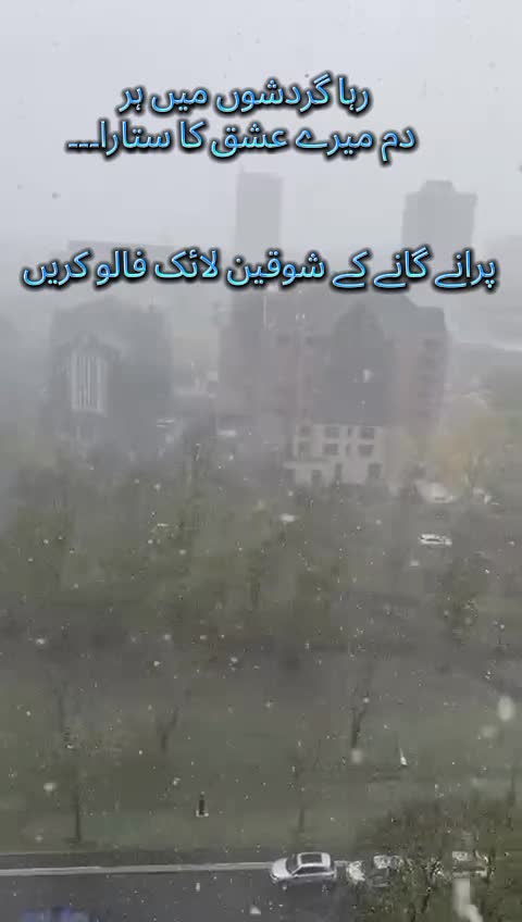 @Haya