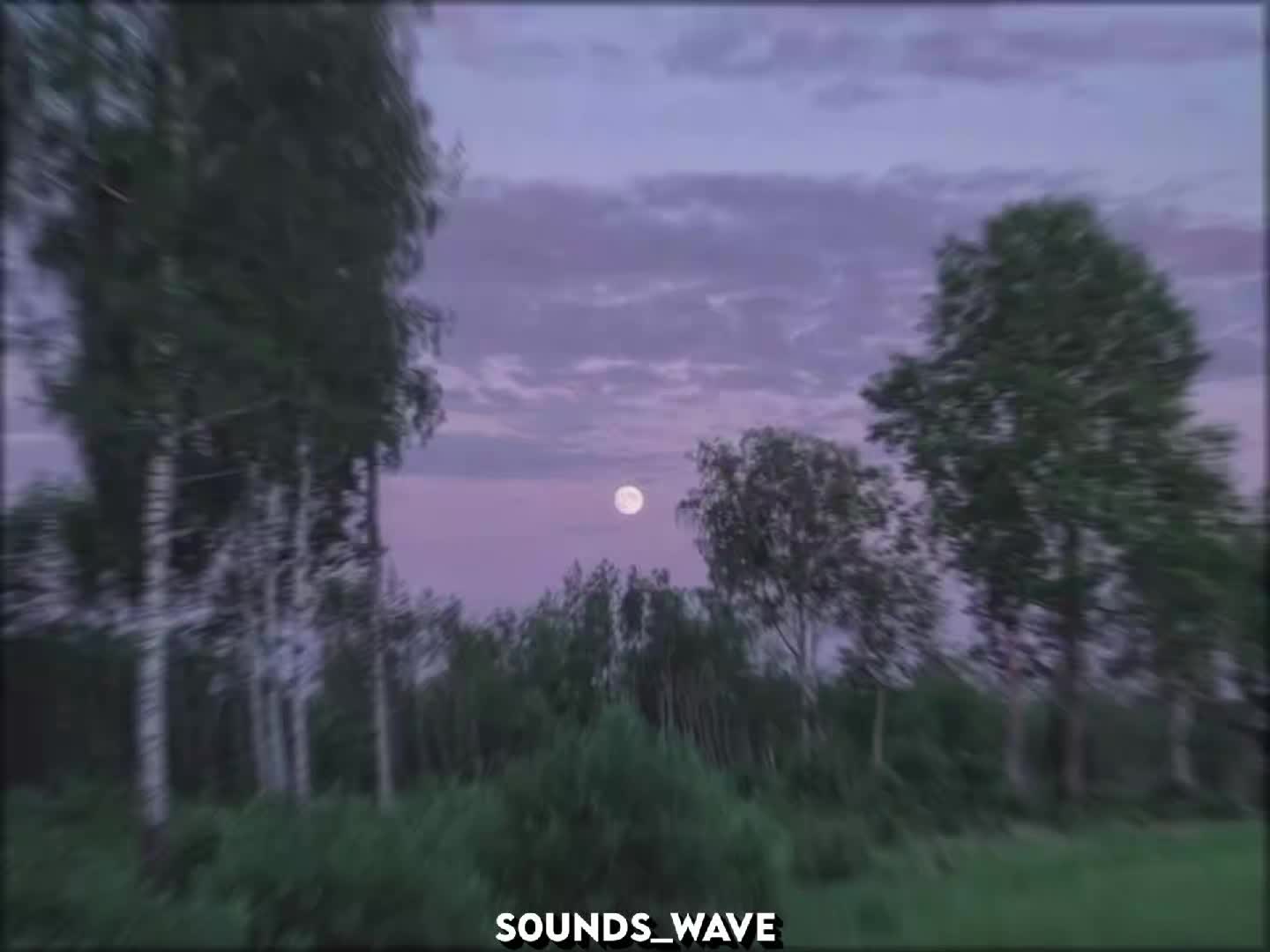 @𝕤𝟘𝕦𝕟𝕕𝕤_𝕨𝕒𝕧𝕖
