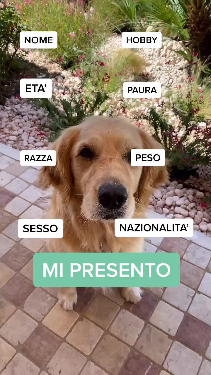 @🐶PENNY🐶