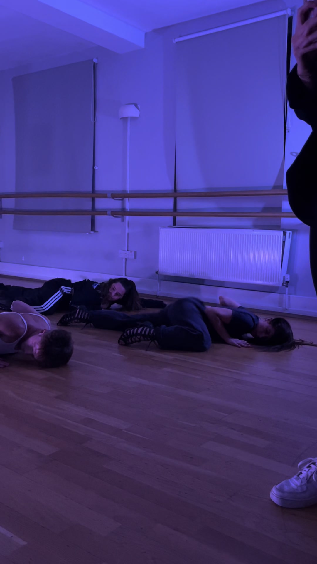 @holswilddance