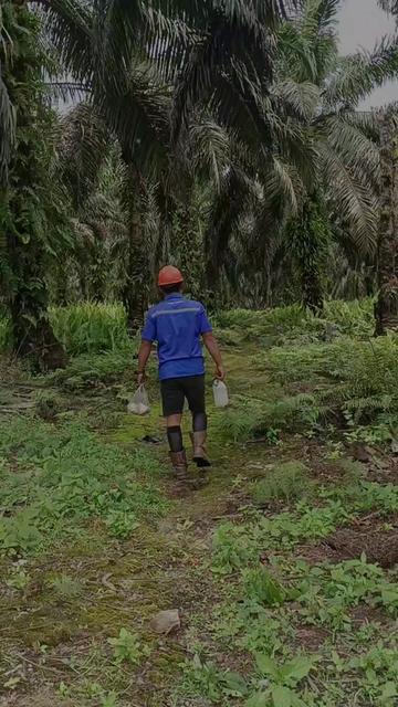 @rajali_aciel