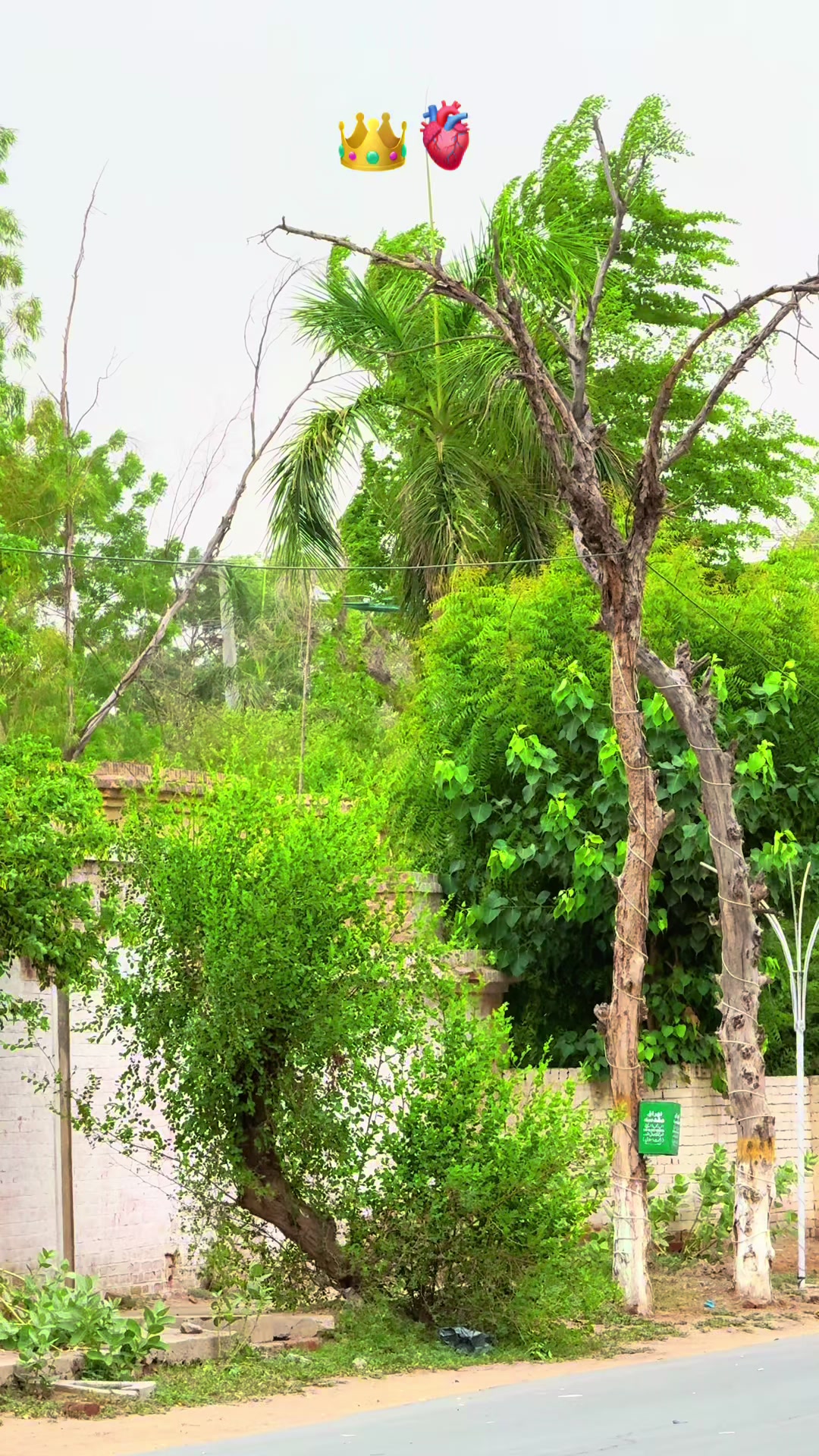 @پنجابی کلچر 🌾🍂