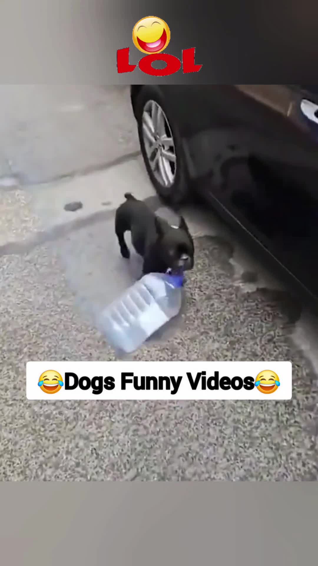 @Hilarious Laughs Hub