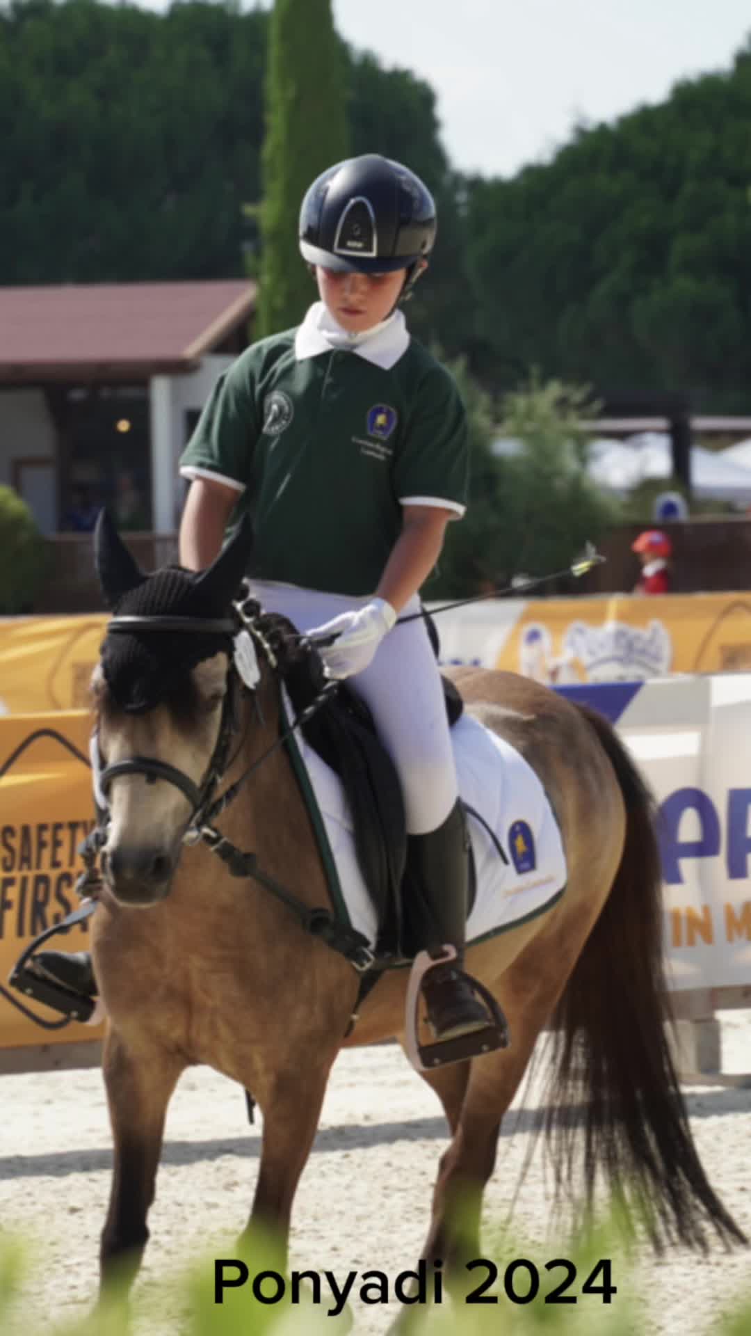 @м&iota;&alpha; 🐴💛