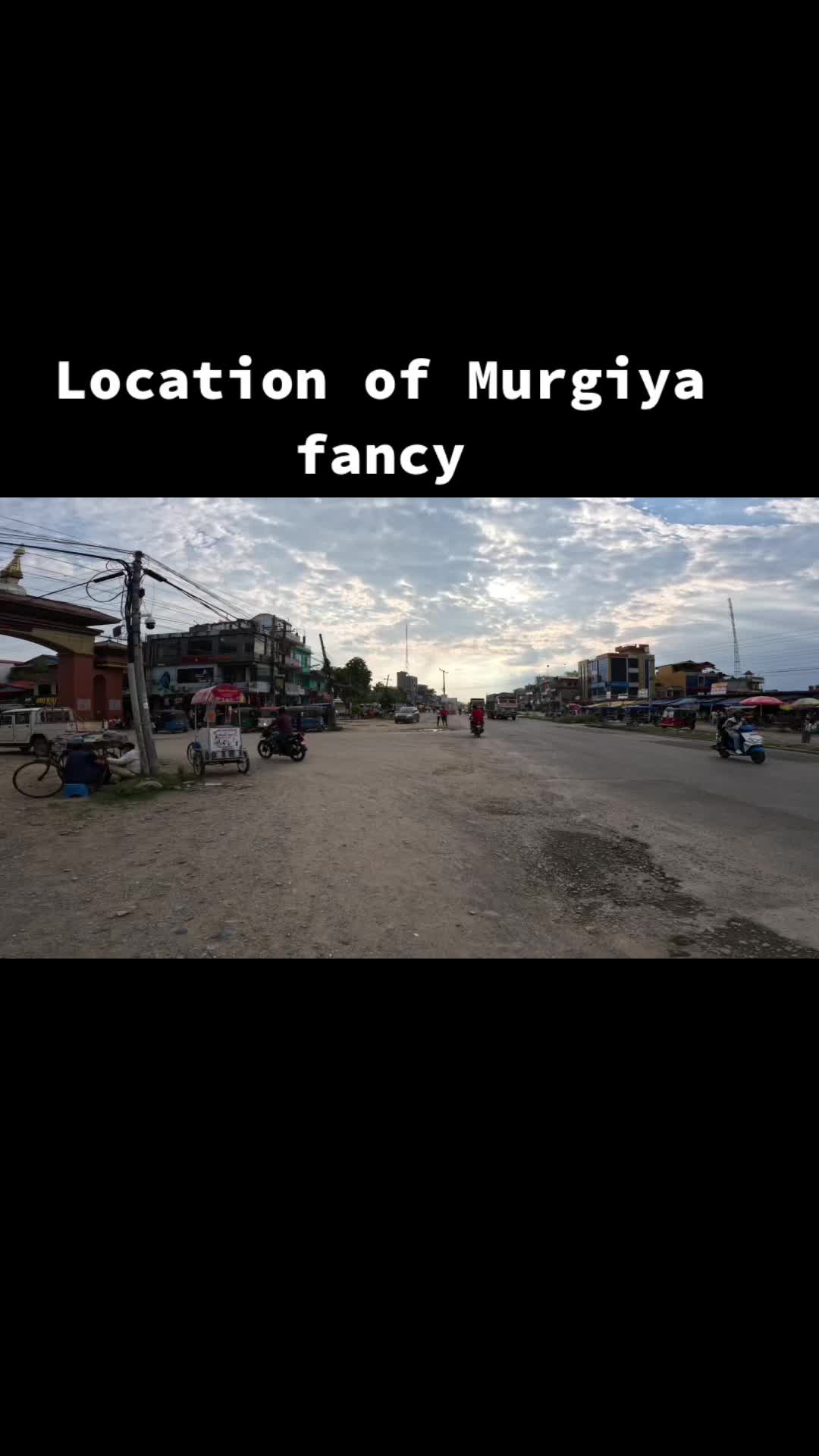 @murgiya_fancy