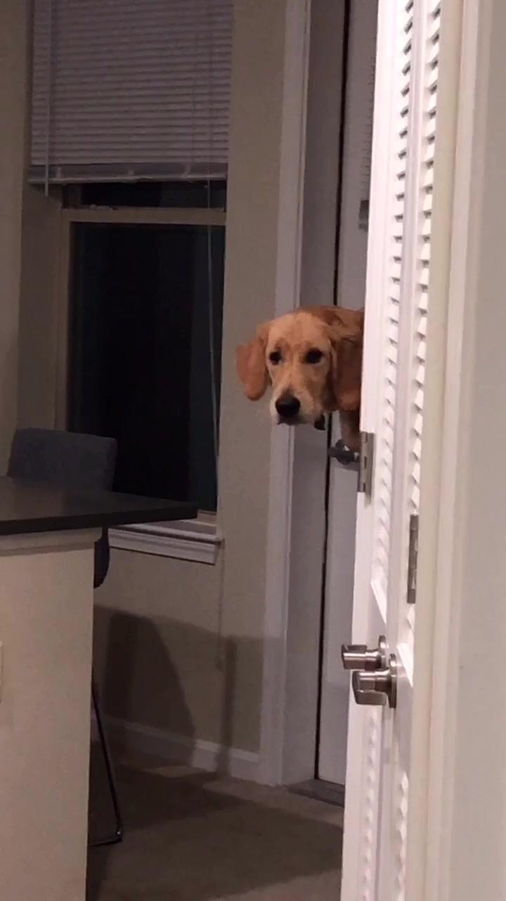 @riley_the_nugget