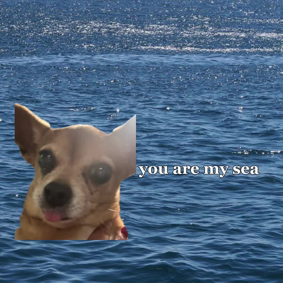 @💍