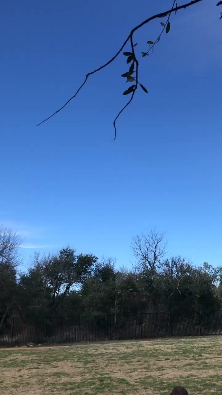 @ᗷoᗷo! 🧸