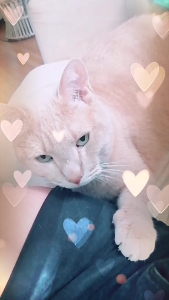 @๐ป๐๐๐๐ช๐