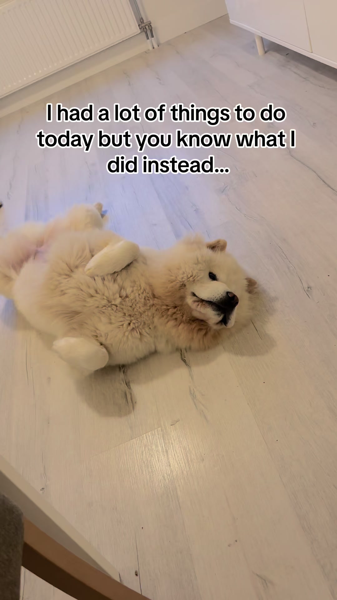 @Mochi
