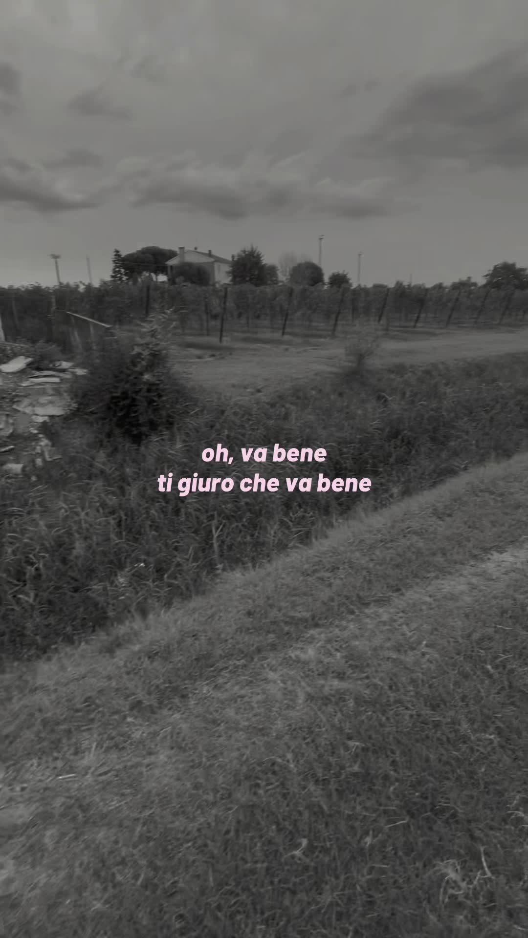 @beaaaaa_.