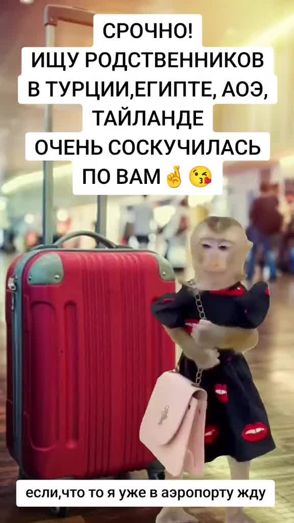 @👑ОЛЯ👑