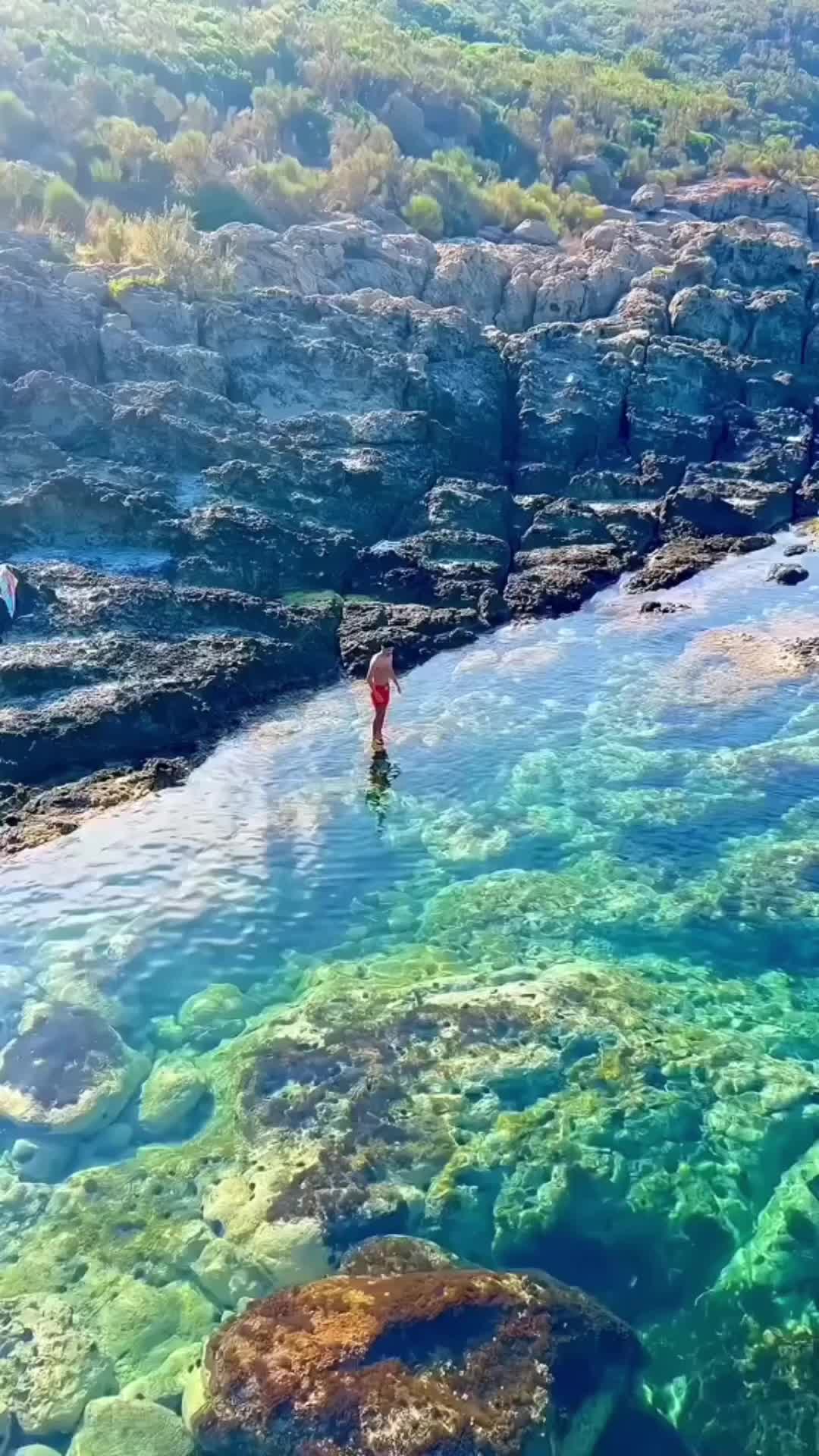 @Traveler