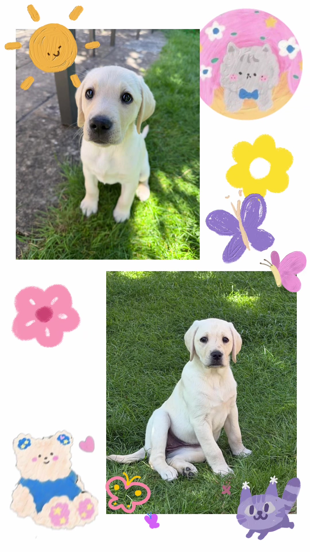 @♡ Charlee ♡