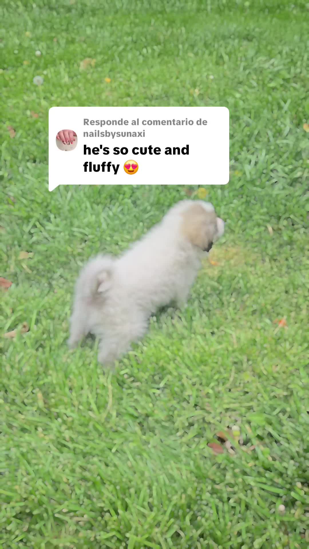@Karla