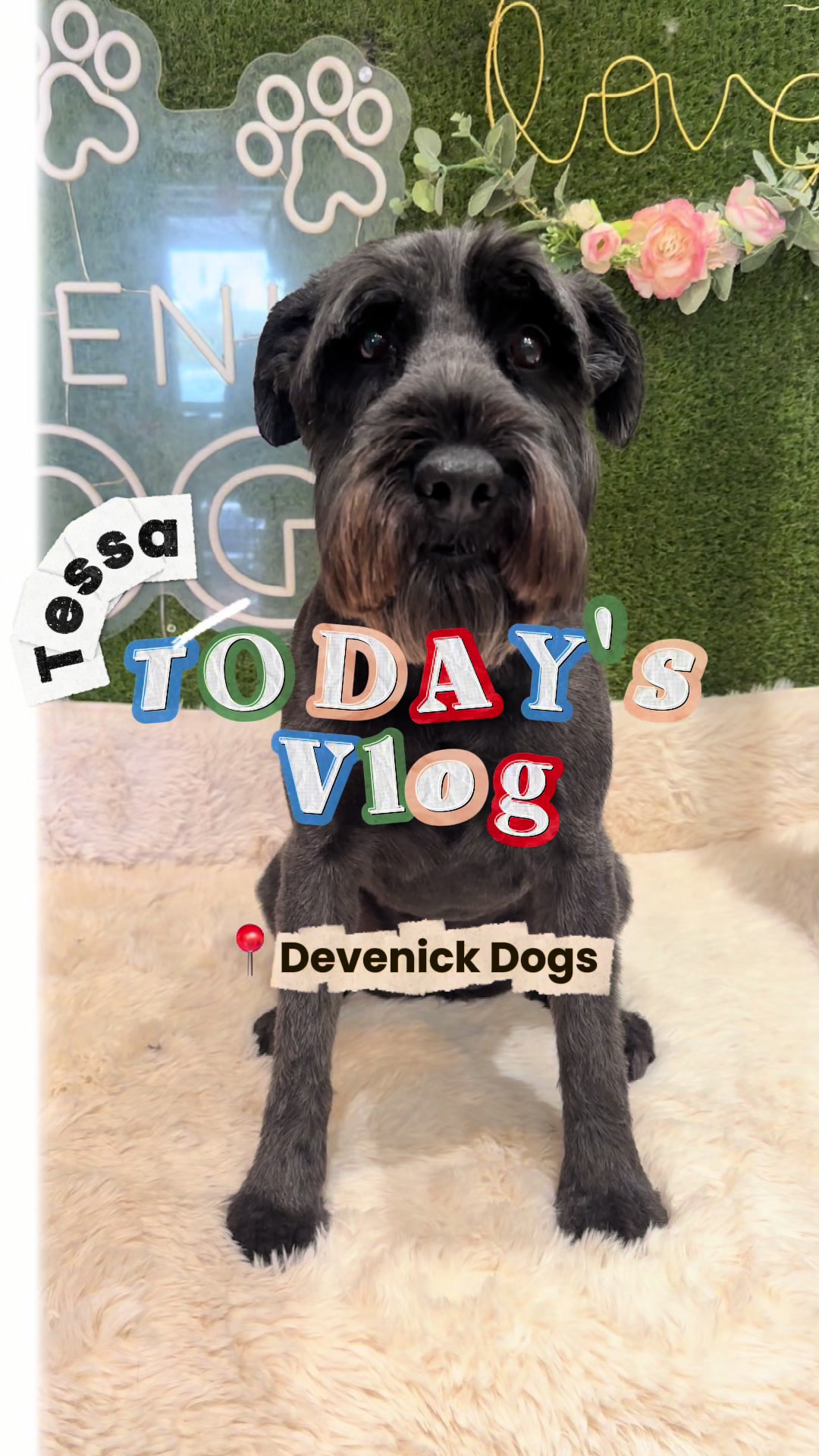 @DevenickDogs