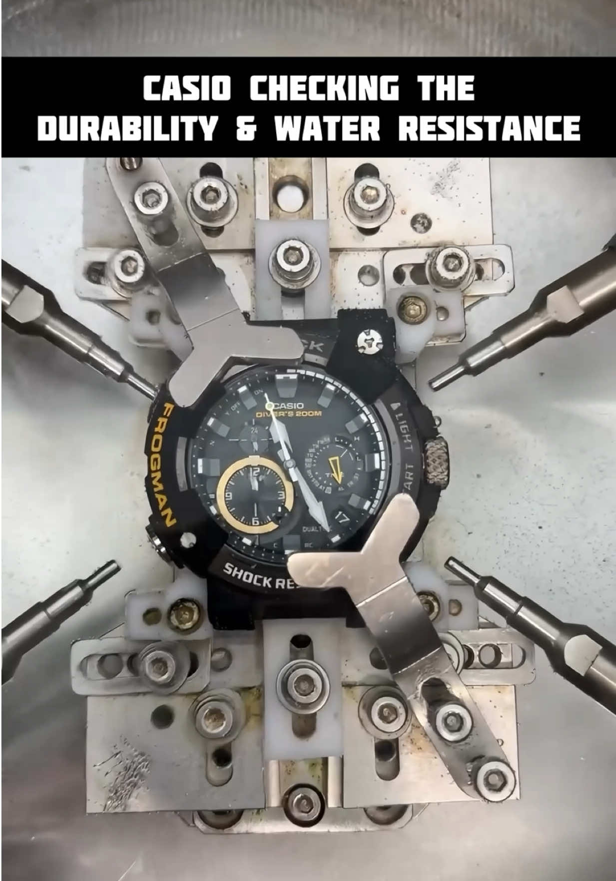 @watch_time_traveler
