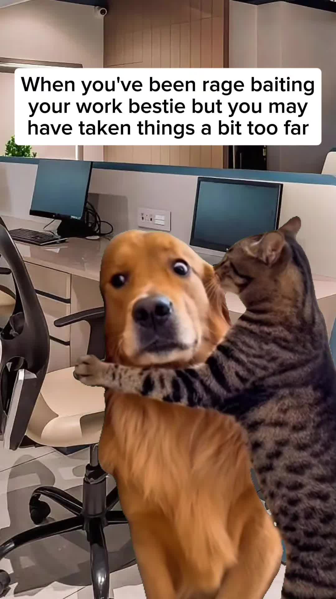 @Office Bubble