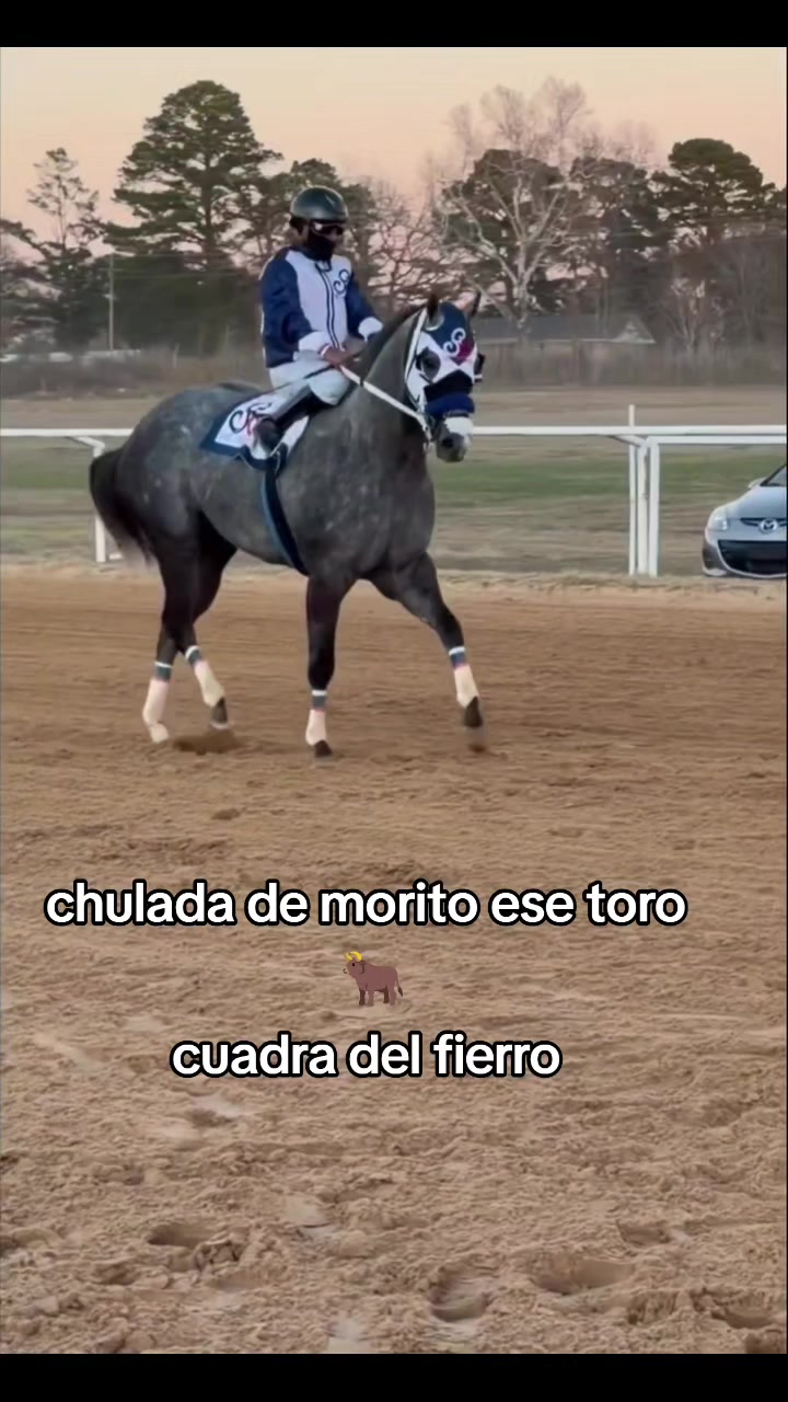 @carriles altos de jalisco🐎