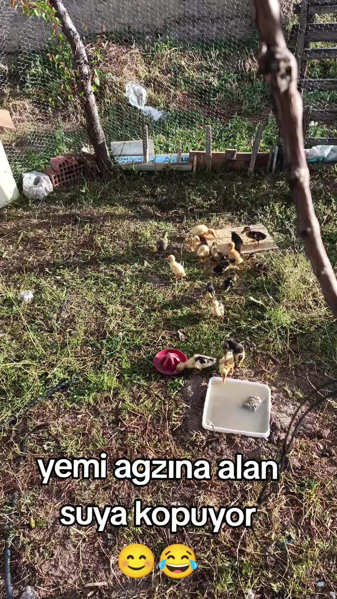 @yılmaz Çetinkaya