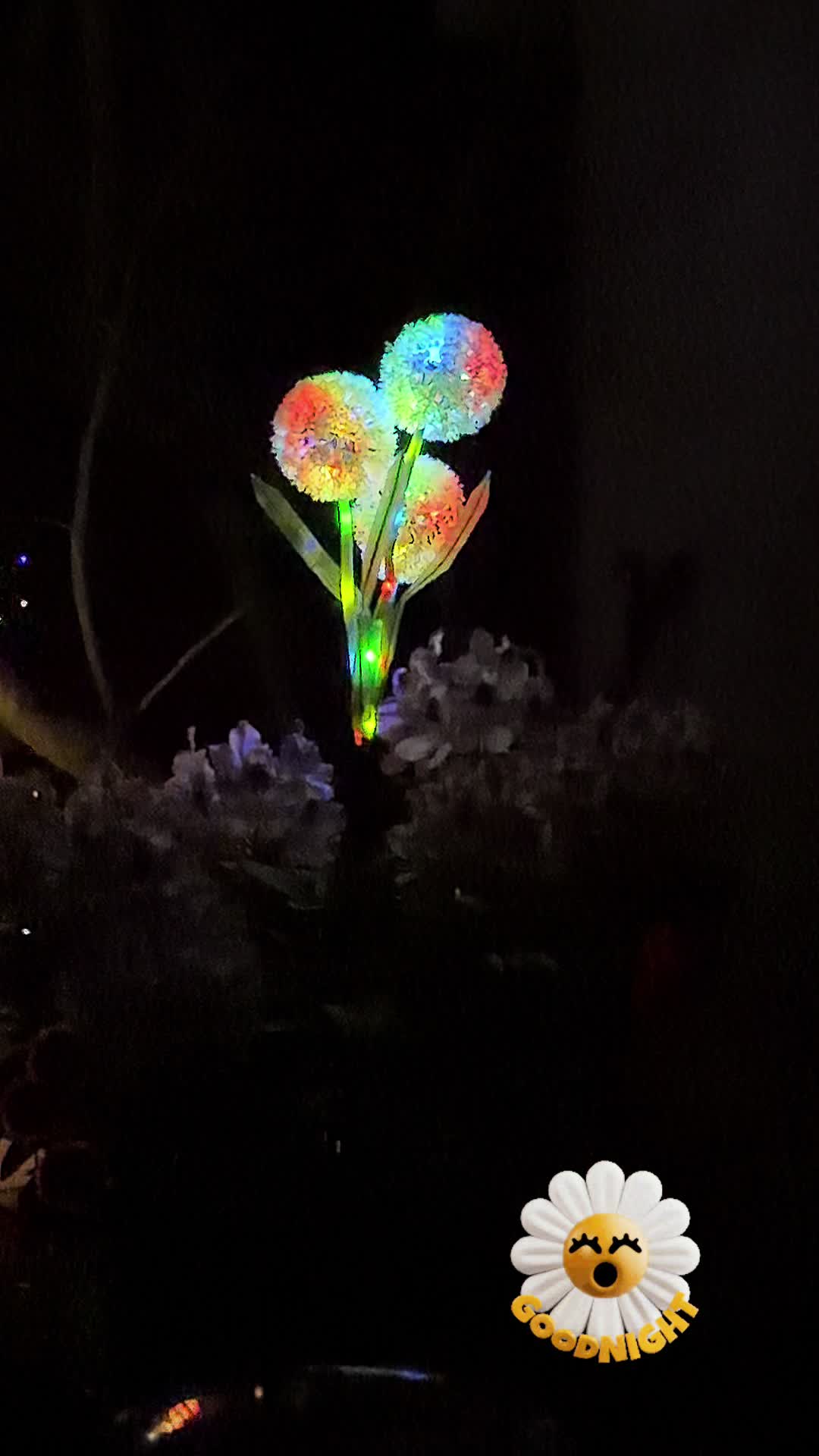 @🌺 ℭ𝔯𝔦𝔰𝔱𝔦𝔫𝔞 🌺