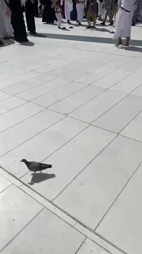 @♯̶مردها بتزين