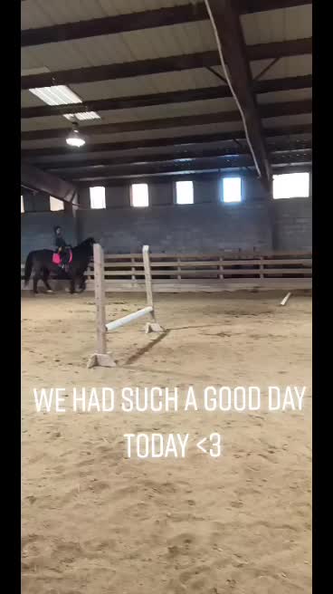 @horsie_rider