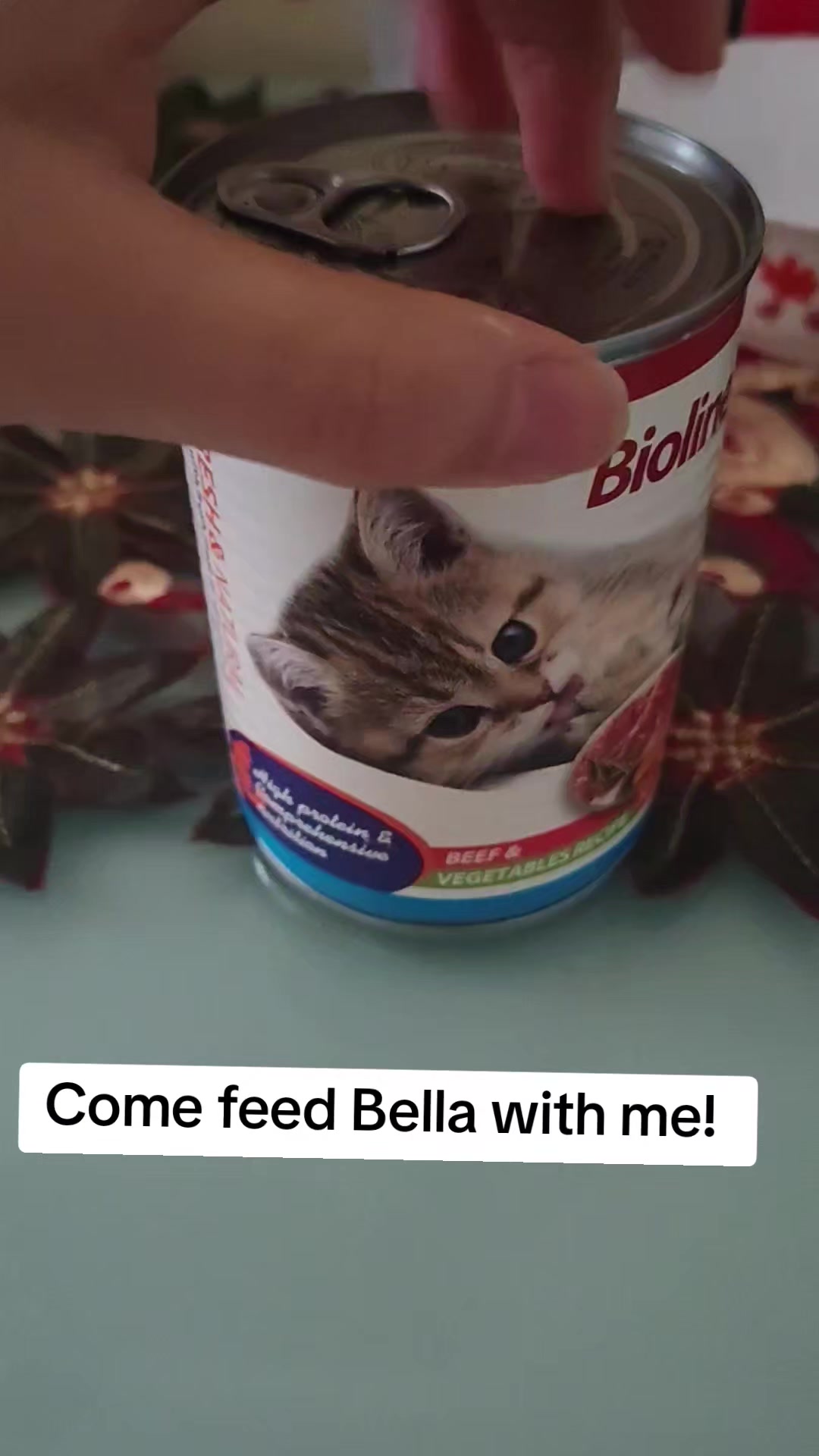 @UniqueClaw Cattery